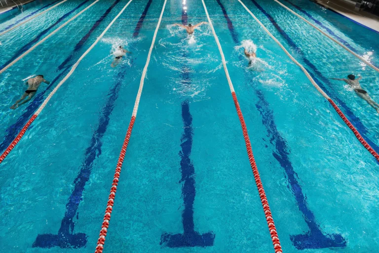 News Singapore( 2025 World Aquatics Championships)
