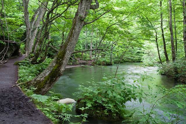 Hiking the Oirase Trail (Aomori – Japan)