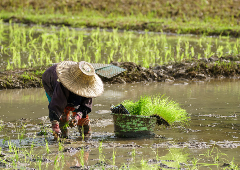 Value over Volume – Thailand